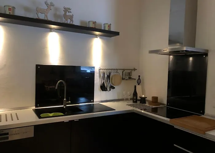 Loewenherz Apartment *